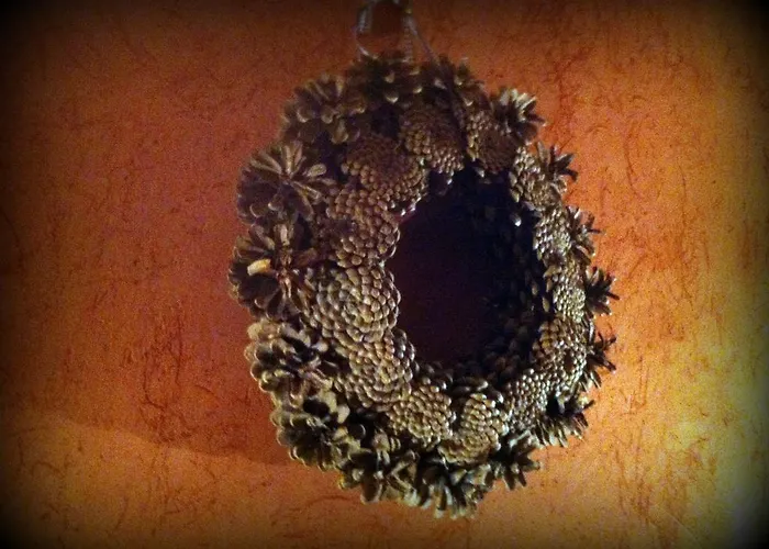 Les Songes D'helena Gasthof 3*