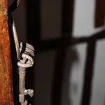 Les Songes D'héléna