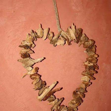 Les Songes D'héléna